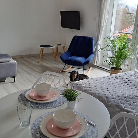 Apartamenty Bujaki Ustron Extérieur photo
