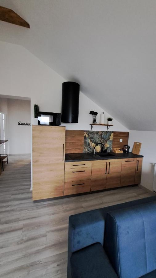 Apartamenty Bujaki Ustron Extérieur photo