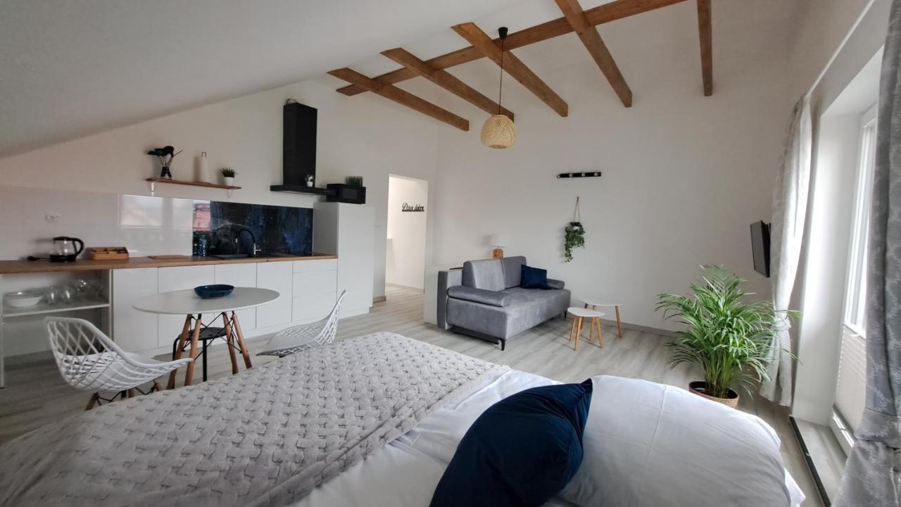 Apartamenty Bujaki Ustron Extérieur photo