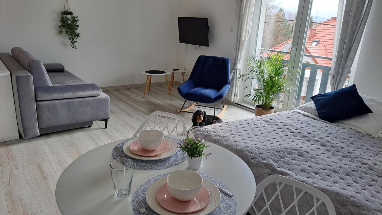 Apartamenty Bujaki Ustron Extérieur photo
